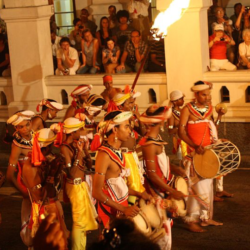 Figure 2: Festival of the Tooth in Sri Lanka. Image from Omar AV [CC BY 3.0 (http://creativecommons.org/licenses/by/3.0)], via Wikimedia Commons